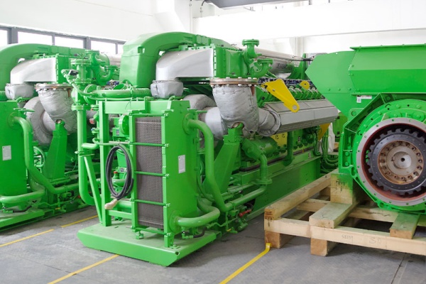 Dongguan Deyongjia Cogeneration Power Generation Project